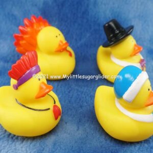 THANKSGIVING DUCKIES