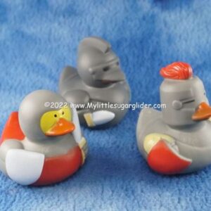 MEDIEVAL DUCKS